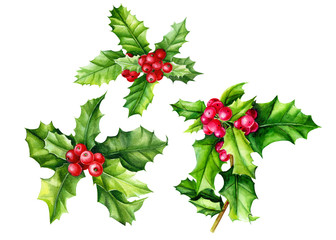 set of holly branches with berries,  christmas decorations on a white background, watercolor illustration, hand drawing