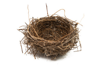 bird nest isolated - Powered by Adobe