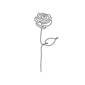 Rose Outline Simple Images – Browse 41,852 Stock Photos, Vectors, and Video  | Adobe Stock