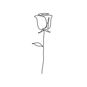 Continuous one line rose flower, minimalism. vector illustration.  Stock-Vektorgrafik | Adobe Stock