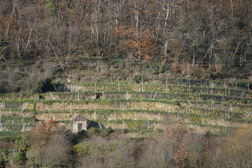 Landwirtschaft in alten Steinterrassen in Hanglage