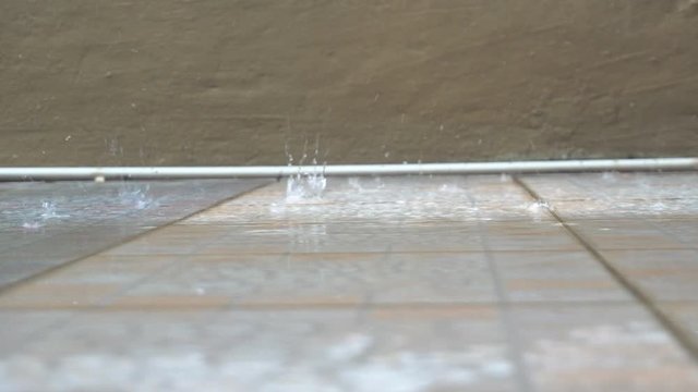 footage of Tropical rain drops falling.