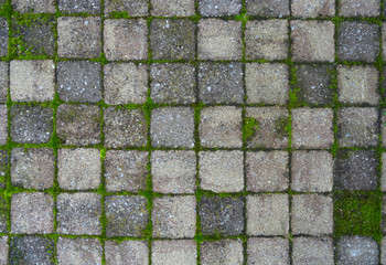stone path pavement background texture