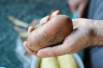 closeup of a hand holding a raw potato