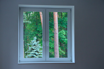 big window overlooking forest in clear room