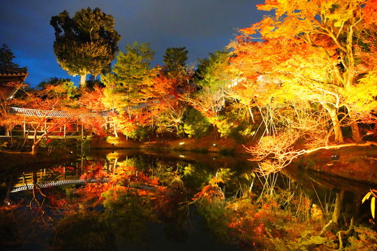 日本の古都　京都の高台寺のライトアップ