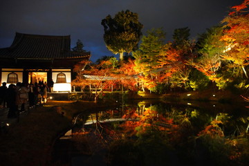 日本の古都　京都の高台寺のライトアップ