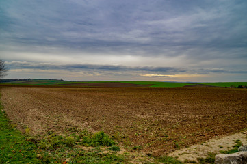 Fototapeta na wymiar plowed field and blue sky in Northern France