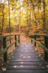 Alte Brücke im Herbstwald