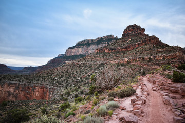 Obraz premium Grand Canyon National Park