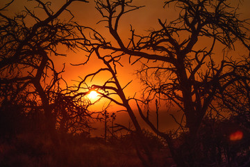 sunset at Big Bend National Park
