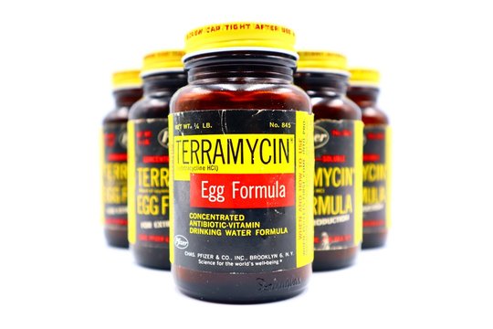 Italy - April 06, 2019: Vintage 1960 TERRAMYCIN Pfizer EGG FORMULA. Formulation of Oxytetracycline Antibiotic and Vitamins for Pullets. Made in U.S.A by Chas. PFIZER & Co. Inc. Brooklyn N.Y.