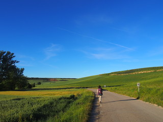 Pilgrim with beautiful landscape on the road to Santiago de Compostela, Camino de Santiago, Way of St. James, Journey from Atapuerca to Burgos, French way, Spain