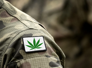 Cannabis leaf on military uniform. Flag with marijuana leaf. Cannabis legalization. Cannabis in...