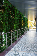 Granite terrace with steps. Shiny iron railing. Row of trees. City