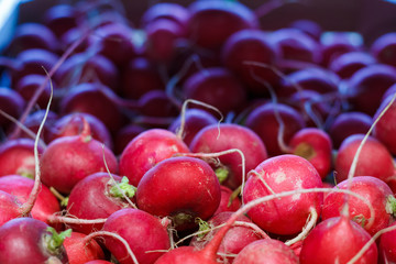 Radishes on a grocery store shelf.