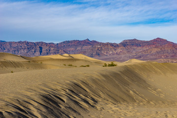 Fototapeta na wymiar Dunes with a View