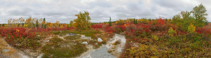 Naklejka premium Landscapes in Autumn Season 