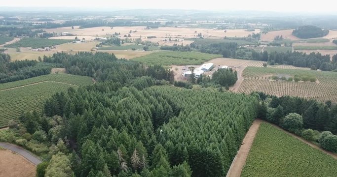 Aerial Approaching to Hidden Airplane in Green Forest, Unique Contryside Scenery, Oregon State USA