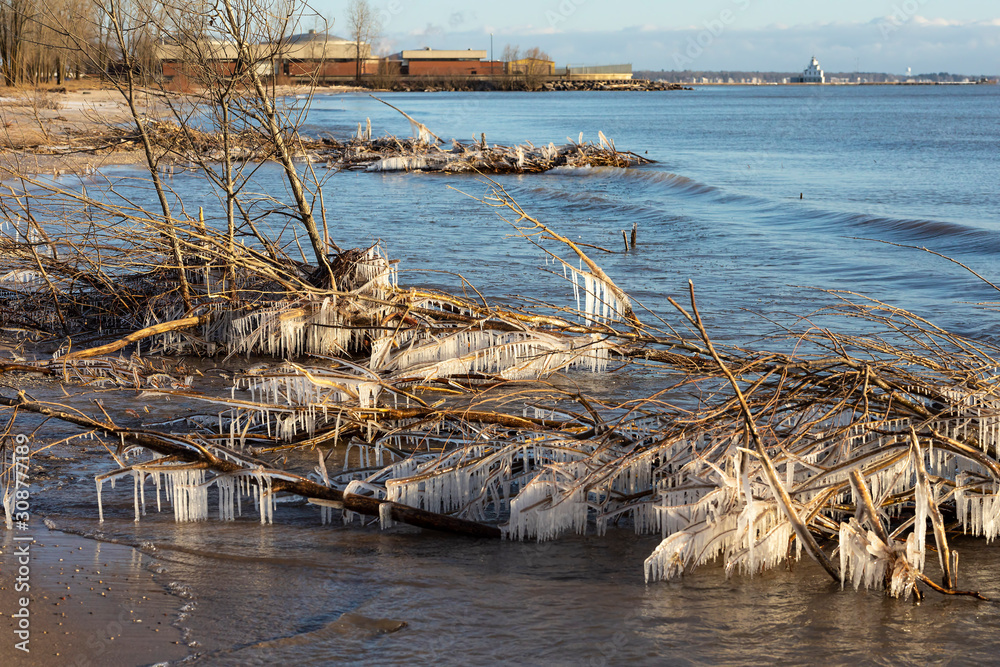 Wall mural Winter on the shore of Lake Michigan. ice covers the branches and forms icicles