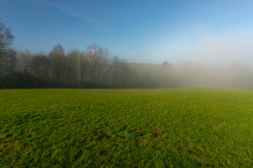 Fototapeta na wymiar Sich auflösender Nebel am Waldrand