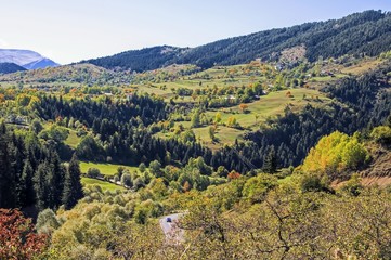 Autumn colors in the forest , highlands and mountain of savsat. Artvin province of turkey 