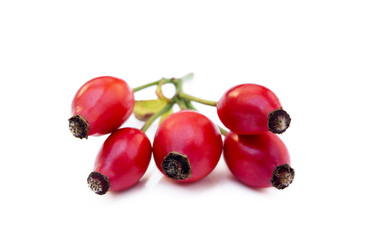 Ripe rose hip isolated on white background