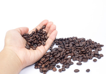 The hand holding the coffee bean on the white background.