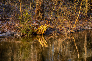 Silver creek in  Wisconsin city park