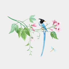 Watercolor vector birds of paradise on branch with tropical gentle pink flowers. White isolated background. Stock illustration