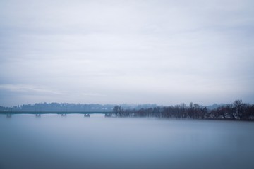 Obraz premium Foggy morning with bare trees