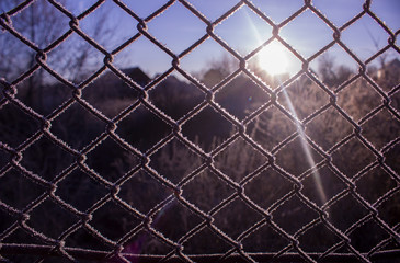 Fence of metal mesh covered with frost. The sun shines early in the morning on the frozen grid. The concept of freedom behind a frozen metal mesh under the light of the sun. Cold winter morning.