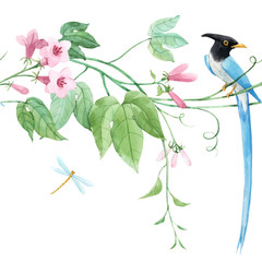 Watercolor vector floral horizontal pattern with blue birds of paradise and pink delicate flowers. White background. Stock illustration.