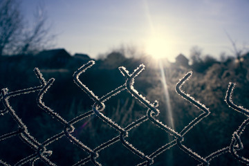 Torn fence of metal mesh covered with frost. The sun shines early in the morning on the frozen grid. The concept of freedom behind a frozen metal mesh that has been ripped. Cold winter morning.