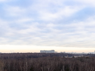 Obraz premium overcast sky over city park in autumn morning