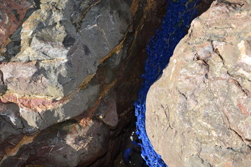 plastic in the sea