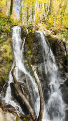 Beautiful waterfall in autumn forest. Krasnaya Polyana, Sochi, Russia.