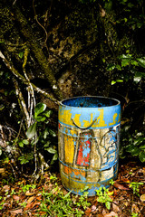 graffiti blue trash bin in the forest