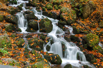 Obraz na płótnie Canvas Waterfall in Yedigoller National Park, Bolu, Turkey