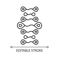 DNA strands linear icon. Deoxyribonucleic, nucleic acid helix. Molecular biology. Genome. Genetic code. Thin line illustration. Contour symbol. Vector isolated outline drawing. Editable stroke