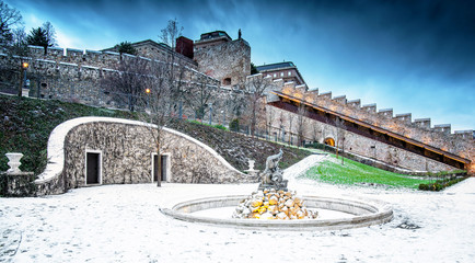 Fototapety na wymiar - Fototapeta24.pl