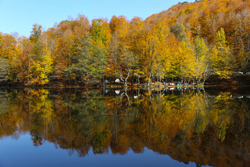 Buyuk Lake in Yedigoller National Park, Bolu, Turkey