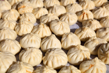 Chinese traditional pasta meat dumplings