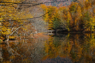 Obraz premium Buyuk Lake in Yedigoller National Park, Bolu, Turkey