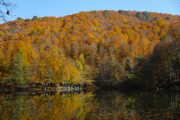 Buyuk Lake in Yedigoller National Park, Bolu, Turkey