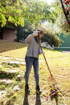 Young woman girl working in backyard raking collecting of autumn foliage oak leaves with green grass lawn