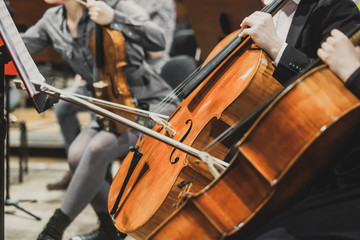 Side views of classical instruments - violin, double basses, cellos, closeup of hands