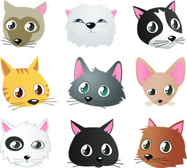 cat breeds
