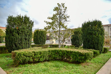 Flowerbeds in the City by Morning with Pklant and Trees