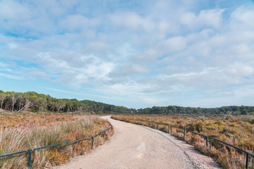 Gravel winding road through an area of ​​lush vegetation in the natural park Es Trenc, Mallorca